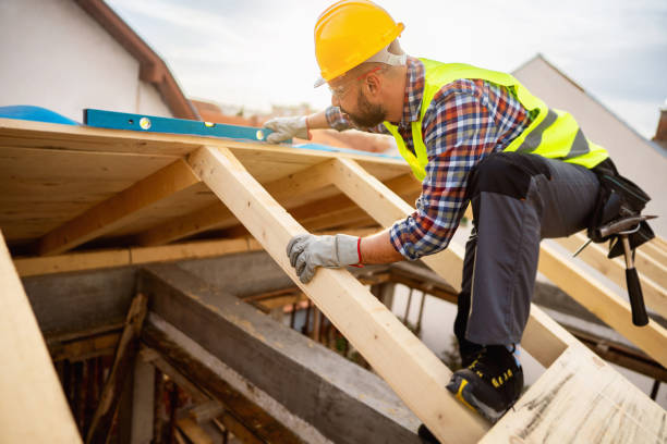 Best Roof Gutter Cleaning  in Raymond, MS